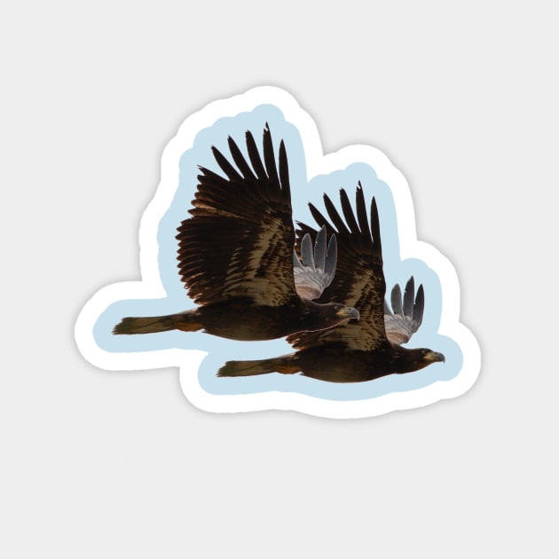 Twin Eagles Magnet by Whisperingpeaks