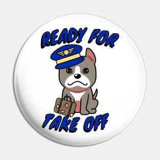 Cute grey dog is a pilot Pin