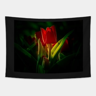 Red Tulip Tapestry