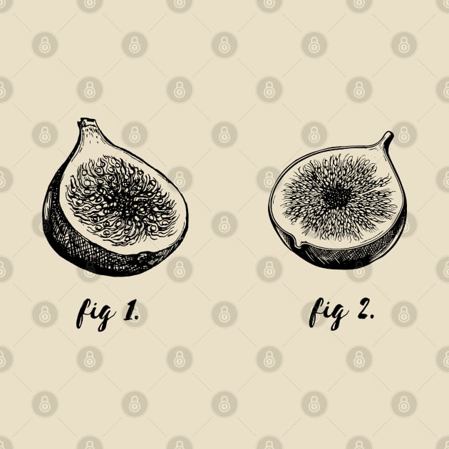 Anatomy of Figs (2) by Stupiditee