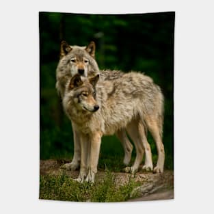 Gray Wolf Tapestry