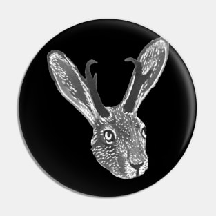 Jackalope Pin