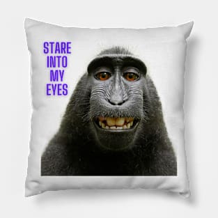 Beautiful Eyes Pillow