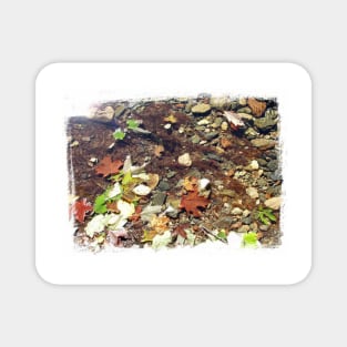 Leaves in a stream , Fall. Magnet