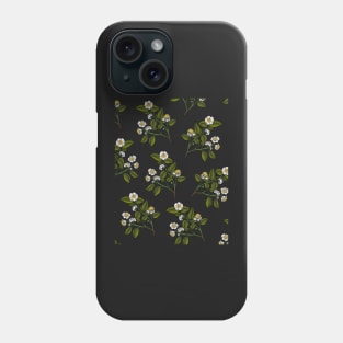 camellia sinensis Phone Case