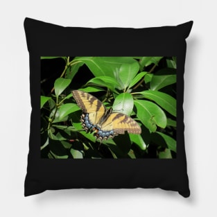 Sunbathing Swallowtail Pillow