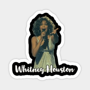 Retro Houston Magnet