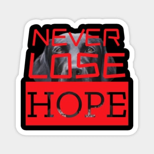 Never Lose Your Hope Magnet