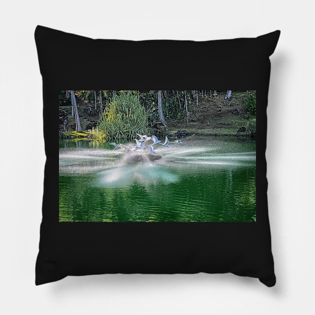 Fountain at Na 'Aina Kai Botanical Gardens & Sculpture Park Pillow by Imagery