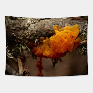 Witches' Butter Mushroom Tapestry