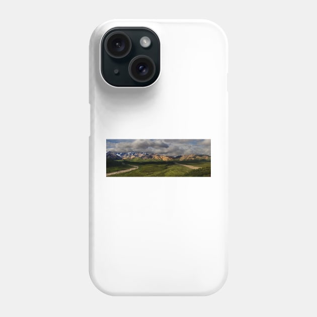 Denali Panorama_1249 Phone Case by wgcosby