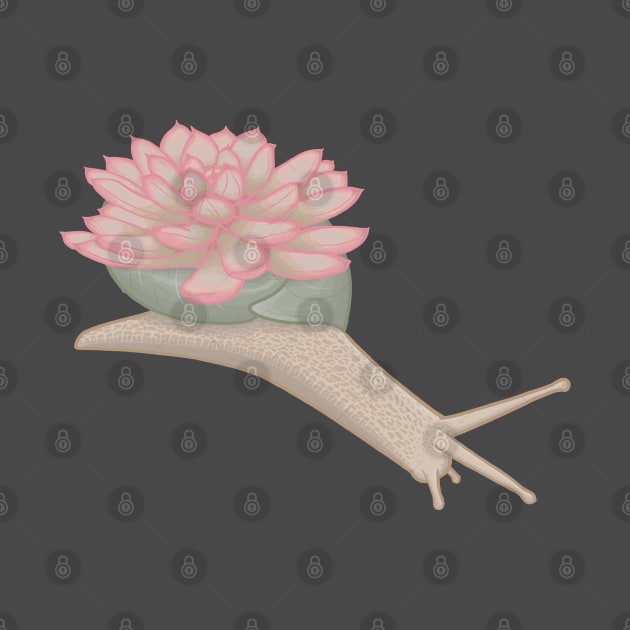 Pink Succulent Snail by Sepheria