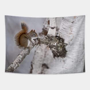 Red Squirrel Tapestry