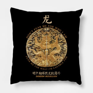 Vintage Chinese Dragon Medallion Pillow