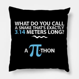 Funny Math Humor Snake Reptile 3.14 Pi Students Kids Pillow