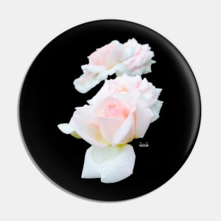 Rose in the dew on black / Swiss Artwork Photography Pin