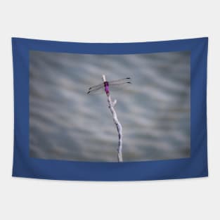Roseate Skimmer Over Water Tapestry