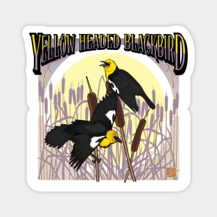 Yellow Headed Black Bird square Magnet