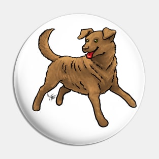 Dog - Chesapeake Bay Retriever - Sedge Pin