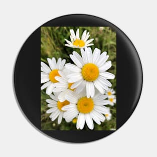 Daisy Friends Pin