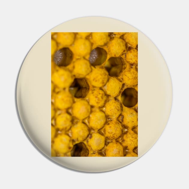 Bee nursery Pin by mbangert