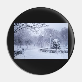 Boston MA Winter Wonderland Boston Public Garden Pin