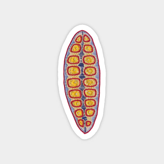 Diatom nr1 Magnet by VrijFormaat