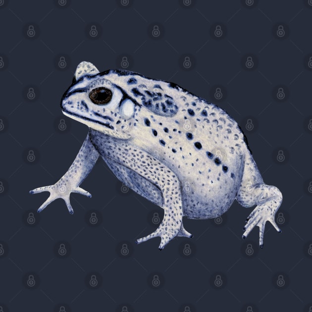 Black-Spined Toad :: Reptiles and Amphibians by Platinumfrog