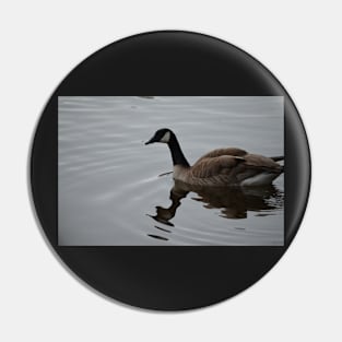 Canada Goose Pin