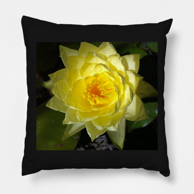 Yellow Lotus of Your Heart Pillow by Photomersion