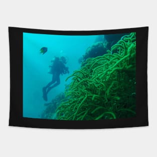 coral reef and scuba diver Tapestry