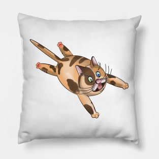 Ginger Funny Fat Cat Pillow