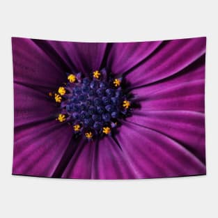 Cape Daisy Tapestry