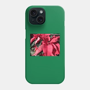 USA Poinsettias Phone Case