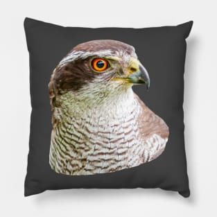 Goshawk Portrait Pillow