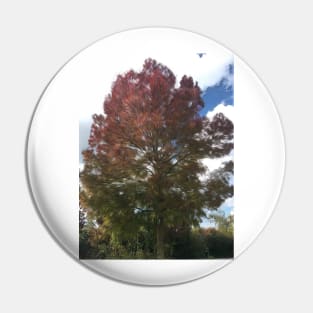 Autumn Tree against a blue sky Pin