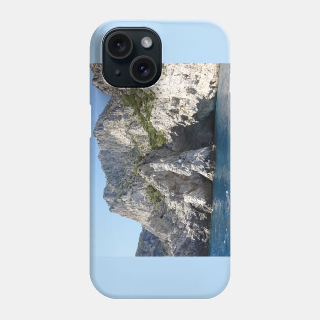 Capri Phone Case by Tess Salazar Espinoza