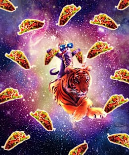 Thug Space Cat On Tiger Unicorn - Taco Magnet