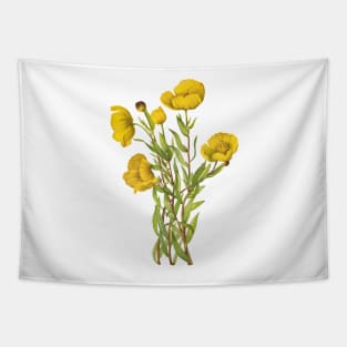 Bush Poppy - Botanical Illustration Tapestry