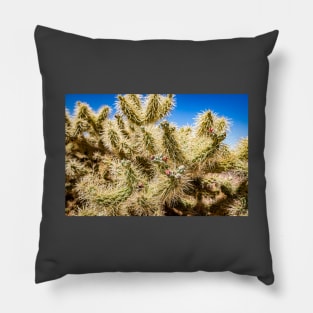 Cholla Cactus along the Apache Trail Pillow