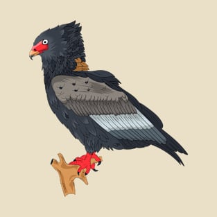 Bateleur Eagle illustration T-Shirt