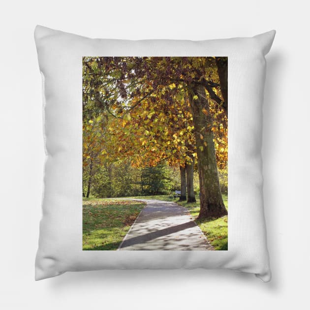 A Walk in the Park Pillow by gracethescene