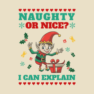 Naughty or nice? I can explain mr Elf T-Shirt