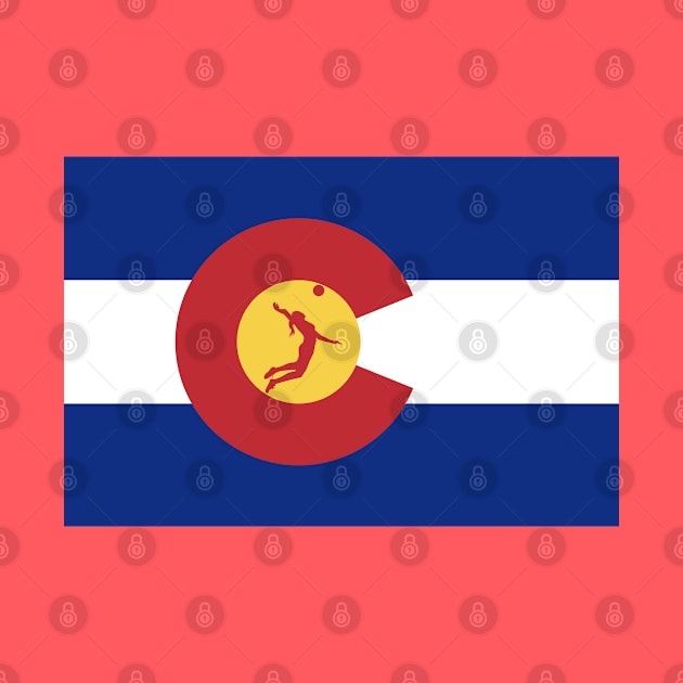 Colorado Volleyball Flag by chriswig