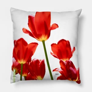 Tulips / Swiss Artwork Photography Pillow