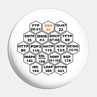 Commonly Hacked Ports Pin