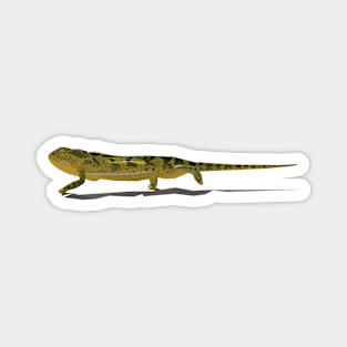 Low Poly Chameleon Magnet