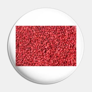 Dried barberries Pin