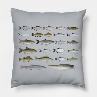 European Freshwater Fish Group Pillow