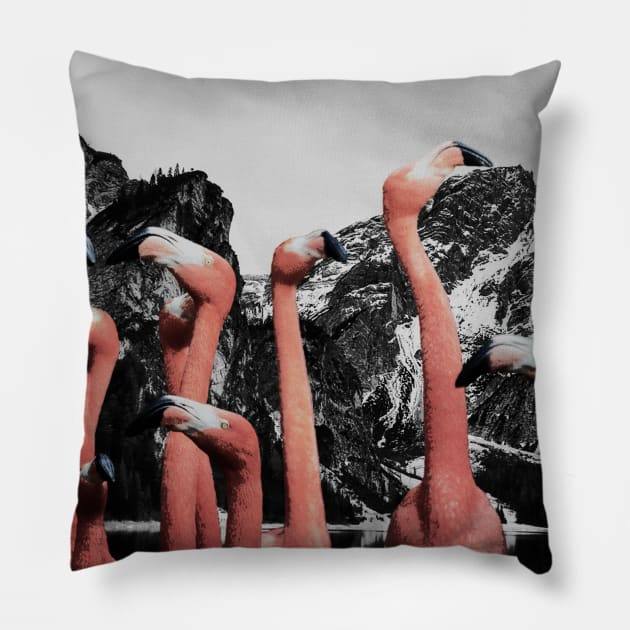 Vain Pillow by Ali del sogno